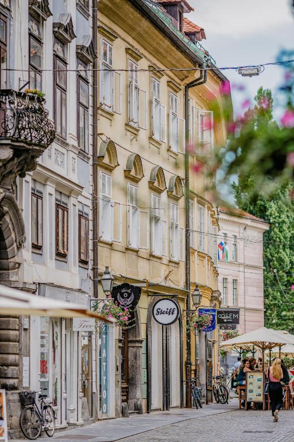 Ab Ljubljana - The Princess Castle Triplex Zewnętrze zdjęcie